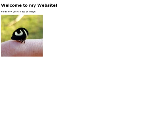 images screenshot