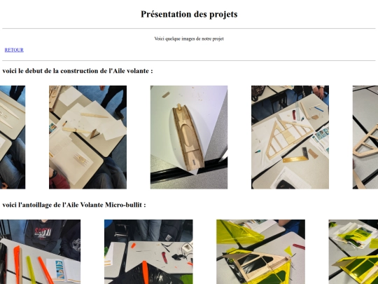 projet/Aile volante micro-bullit screenshot