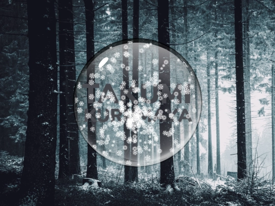 showcase/snowglobe screenshot