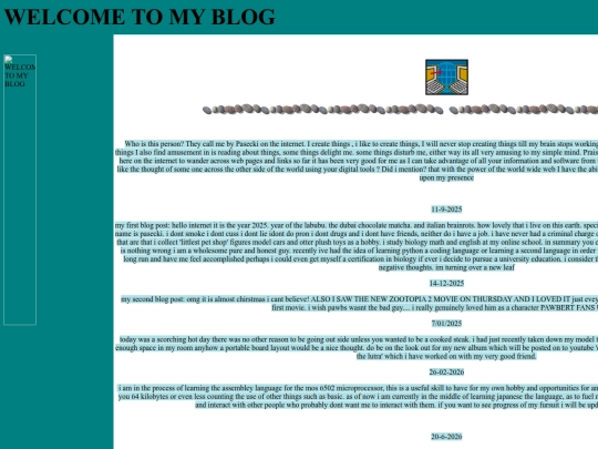 blog screenshot