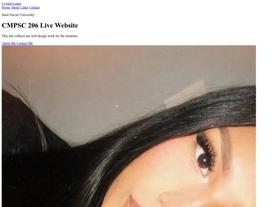styles screenshot