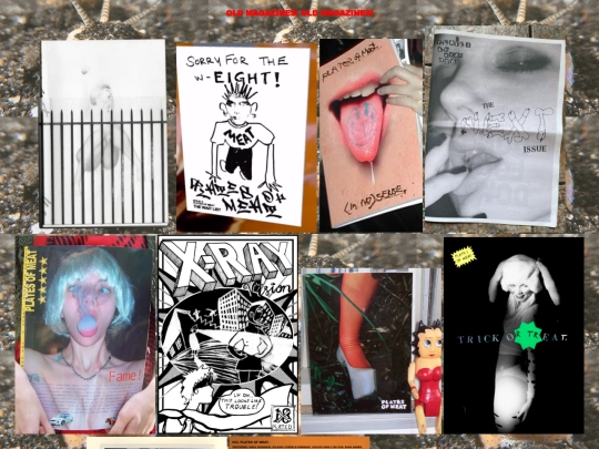 zines/zinezzzpage screenshot