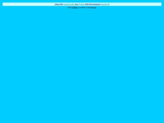java screenshot