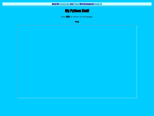 python/pong screenshot