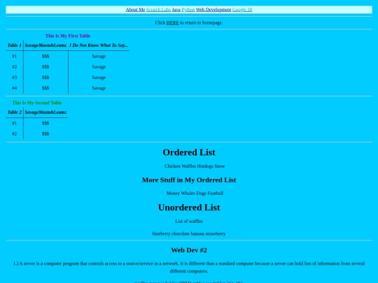 webDev/webDev2 screenshot