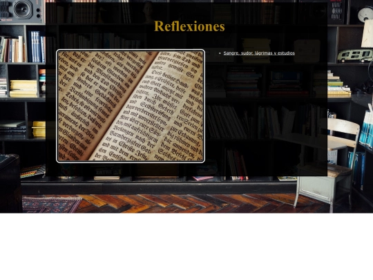 Reflexiones/0InterfazReflexion screenshot