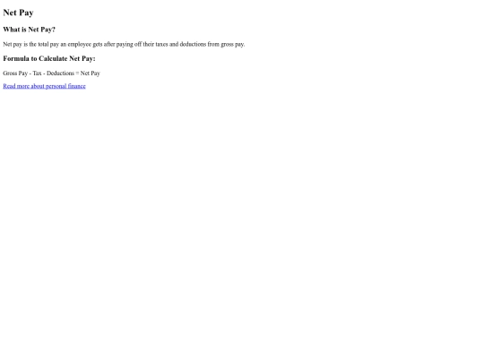 netpay screenshot