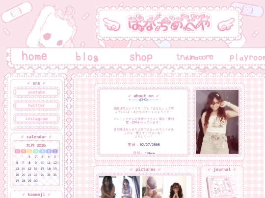 homepage screenshot