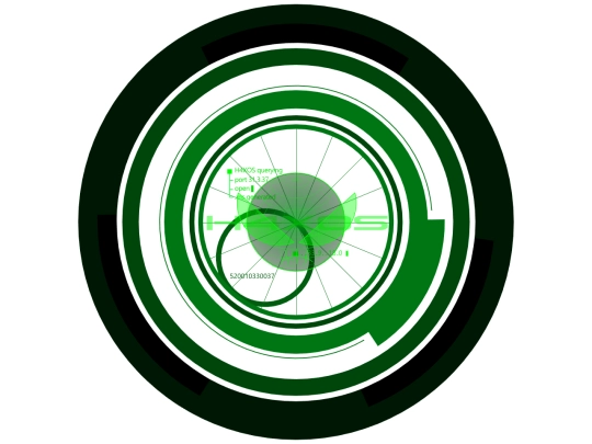 media/iframes/spinnerh4xwire_transparent screenshot