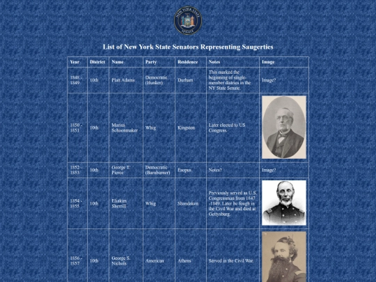 nys-senate-saugerties screenshot