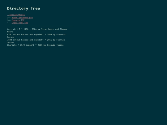 uploads/fonts screenshot