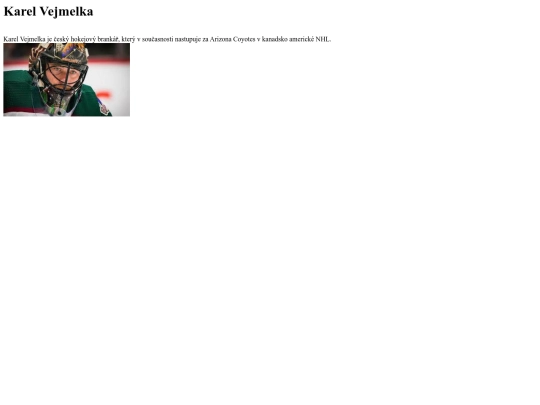 hokej/cze screenshot
