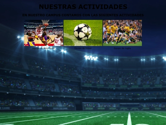 Proyectofinal/pagina4 screenshot