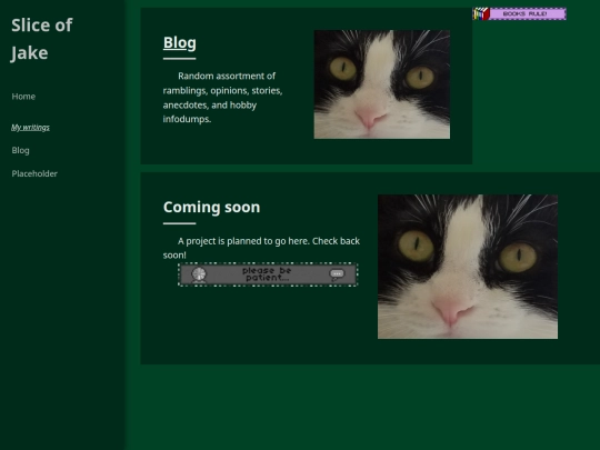 writing screenshot