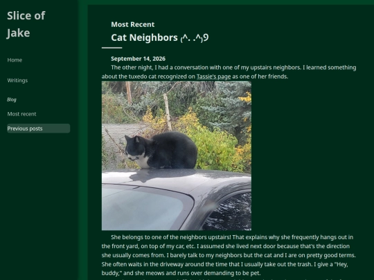 writing/blog screenshot