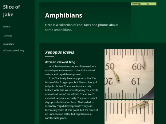 zoology/amphibians screenshot