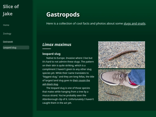 zoology/gastropods screenshot