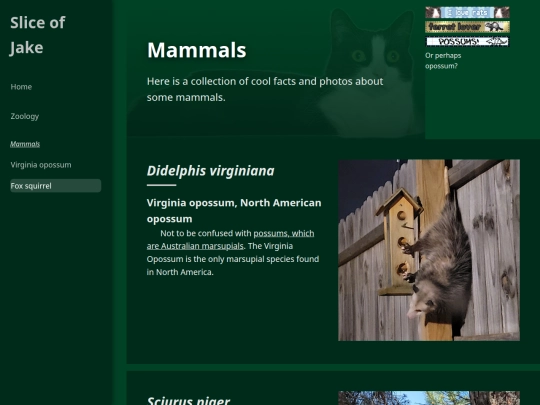 zoology/mammals screenshot