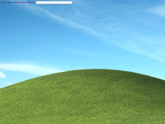 Test screenshot