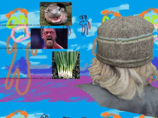 jacob2 screenshot