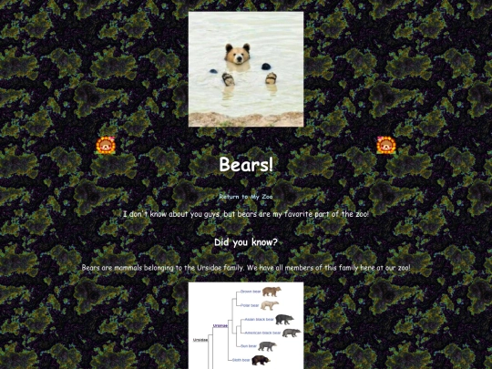 bears screenshot