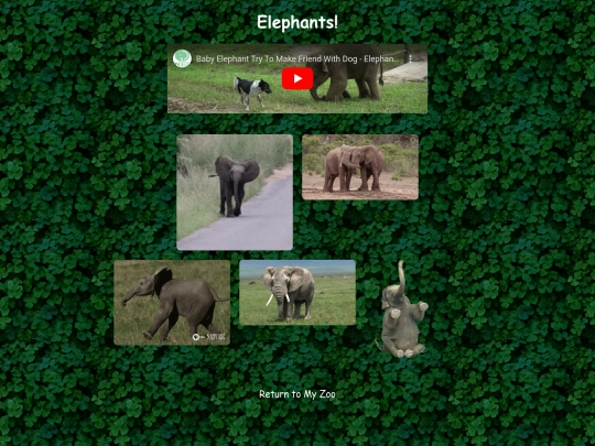 elephant screenshot