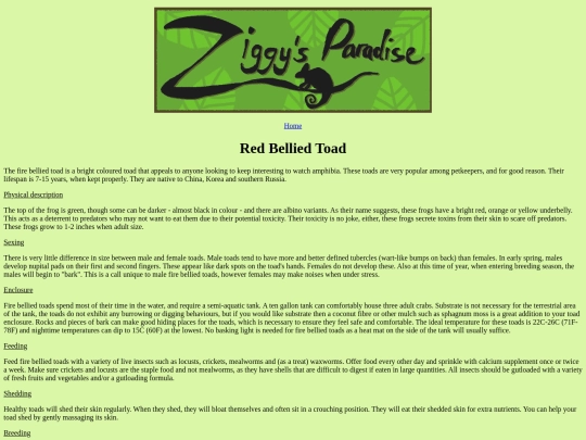 redbelliedtoad screenshot