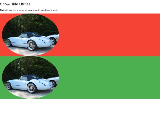 css/showhide screenshot
