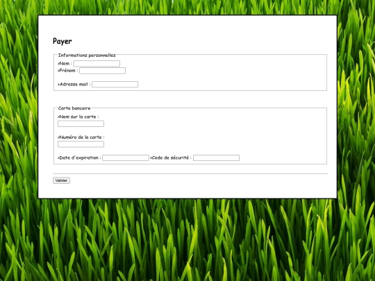 websites/site5415448822hhd??eRRKL9eekslmqp%rzolz/payer screenshot