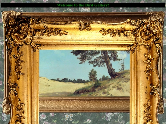 birds screenshot