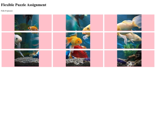 4.09AFlexiblePuzzleAssignment screenshot
