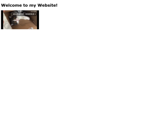 kitty screenshot