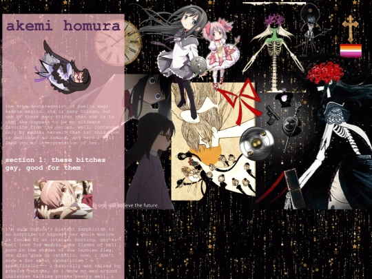 homu screenshot