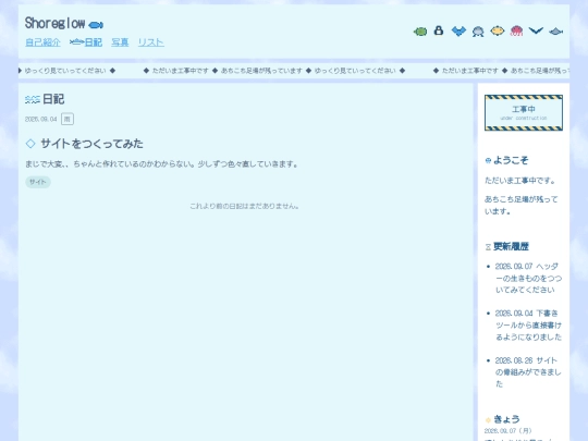 diary screenshot