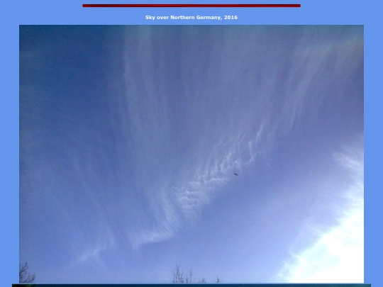 y1 screenshot