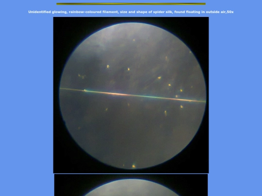 y11 screenshot