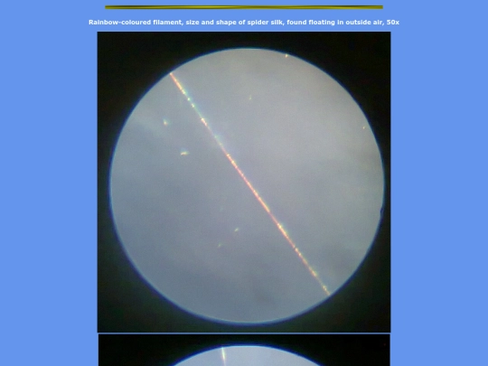 y12 screenshot