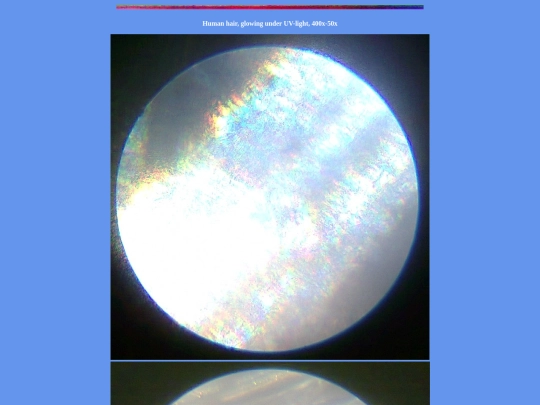 z2 screenshot