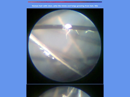 z5 screenshot