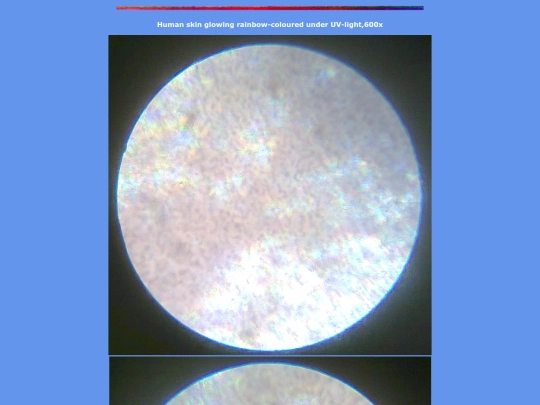 z6 screenshot