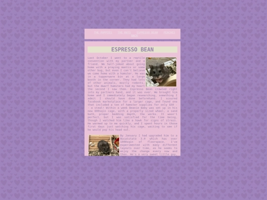 petpages/beaniebaby screenshot
