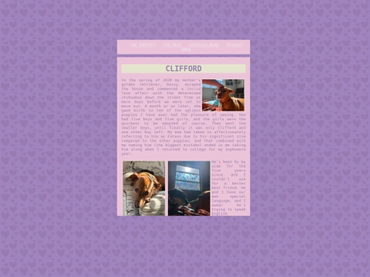 petpages/dogs screenshot