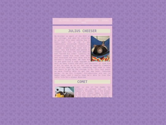 petpages/rats screenshot