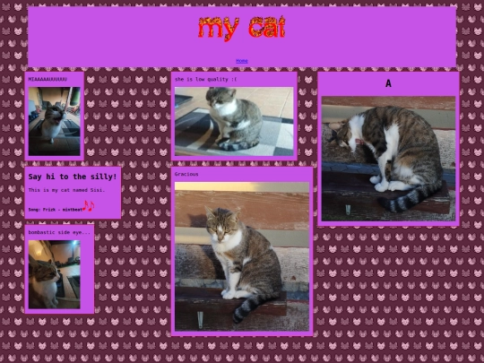 cats screenshot