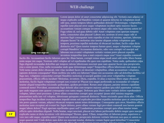 task4 screenshot