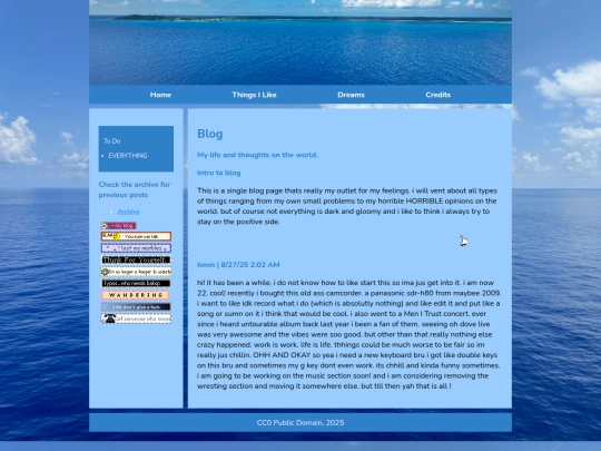 blog screenshot