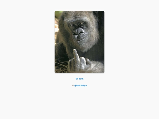 result screenshot