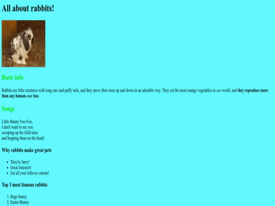 index screenshot