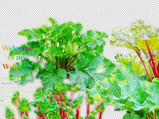 test screenshot