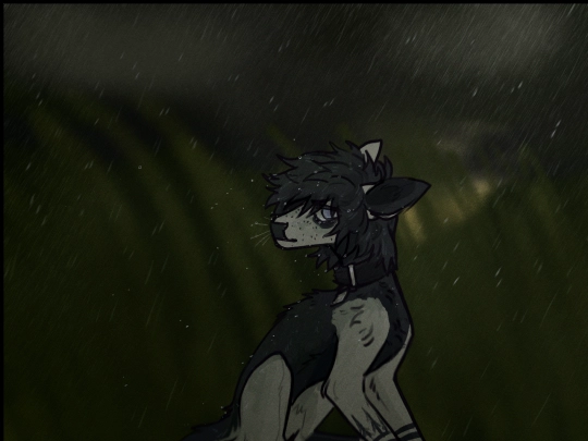 ronniesgallery/rgallery6 screenshot